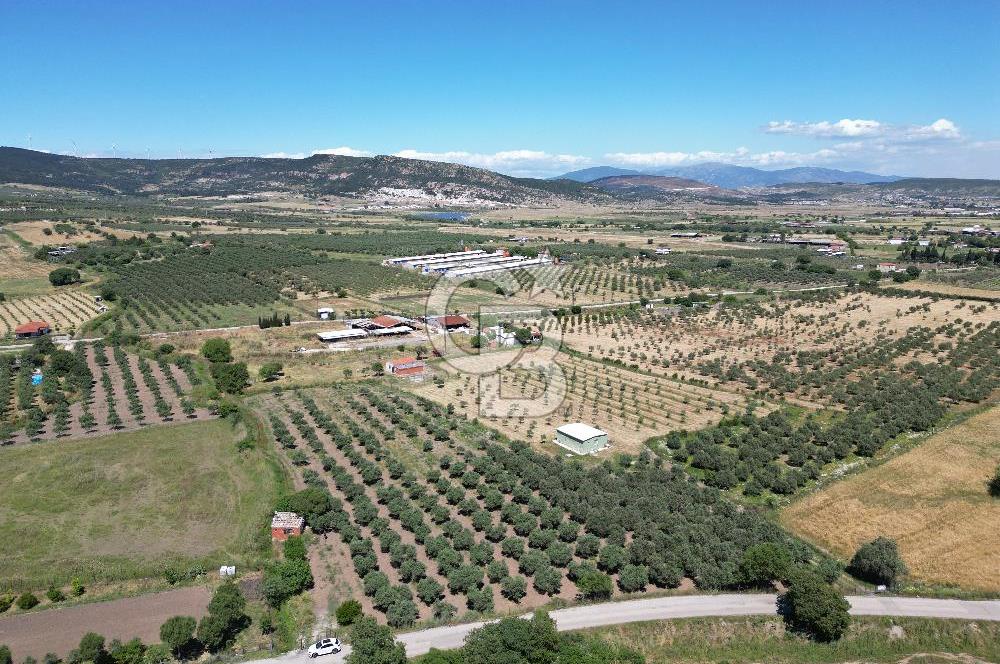 YENİBAĞARASI’NDA ASFALT YOLA CEPHELİ İMARA 500 M. SATILIK TARLA