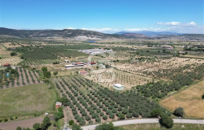 YENİBAĞARASI’NDA ASFALT YOLA CEPHELİ İMARA 500 M. SATILIK TARLA