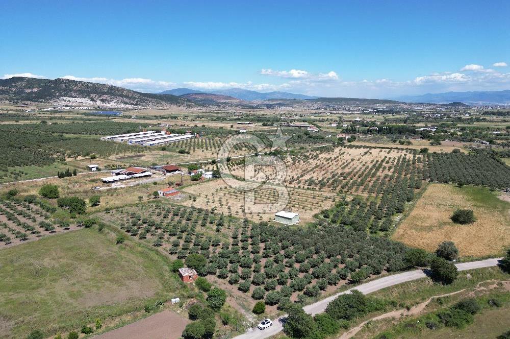 YENİBAĞARASI’NDA ASFALT YOLA CEPHELİ İMARA 500 M. SATILIK TARLA