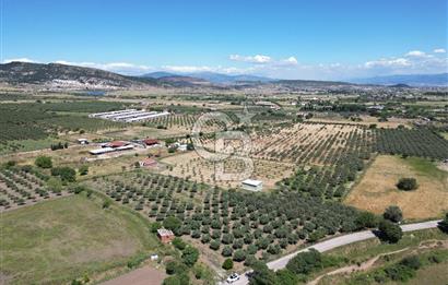 YENİBAĞARASI’NDA ASFALT YOLA CEPHELİ İMARA 500 M. SATILIK TARLA
