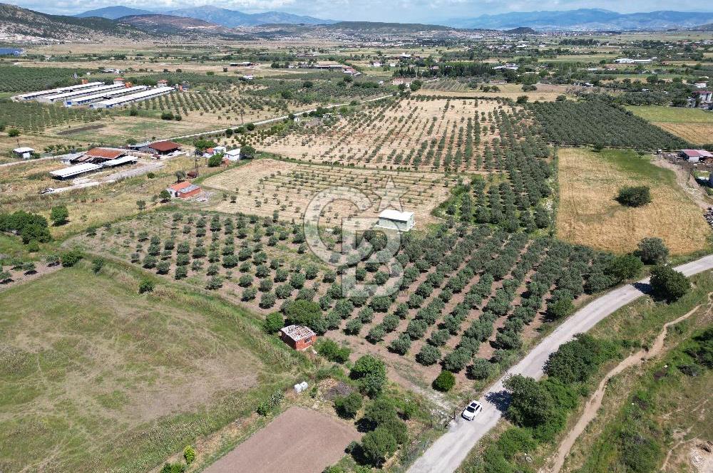 YENİBAĞARASI’NDA ASFALT YOLA CEPHELİ İMARA 500 M. SATILIK TARLA