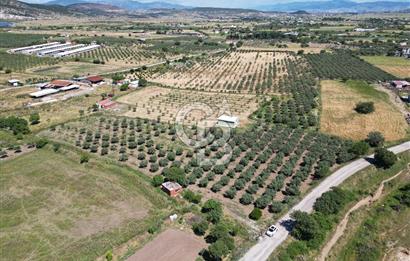 YENİBAĞARASI’NDA ASFALT YOLA CEPHELİ İMARA 500 M. SATILIK TARLA