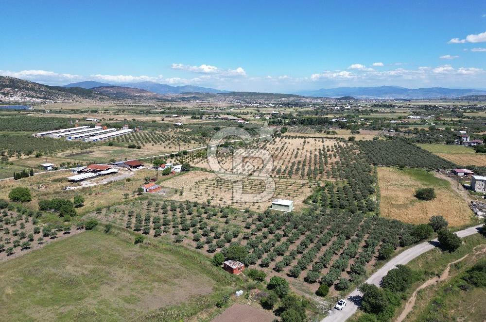 YENİBAĞARASI’NDA ASFALT YOLA CEPHELİ İMARA 500 M. SATILIK TARLA