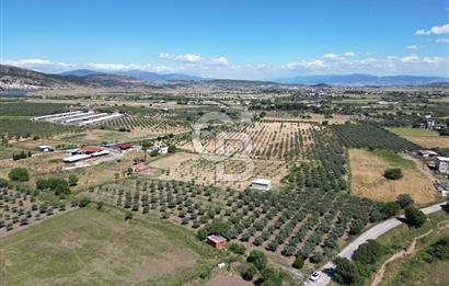 YENİBAĞARASI’NDA ASFALT YOLA CEPHELİ İMARA 500 M. SATILIK TARLA