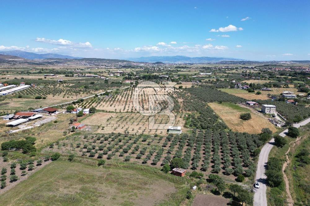 YENİBAĞARASI’NDA ASFALT YOLA CEPHELİ İMARA 500 M. SATILIK TARLA