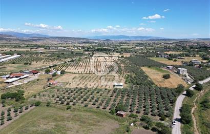 YENİBAĞARASI’NDA ASFALT YOLA CEPHELİ İMARA 500 M. SATILIK TARLA