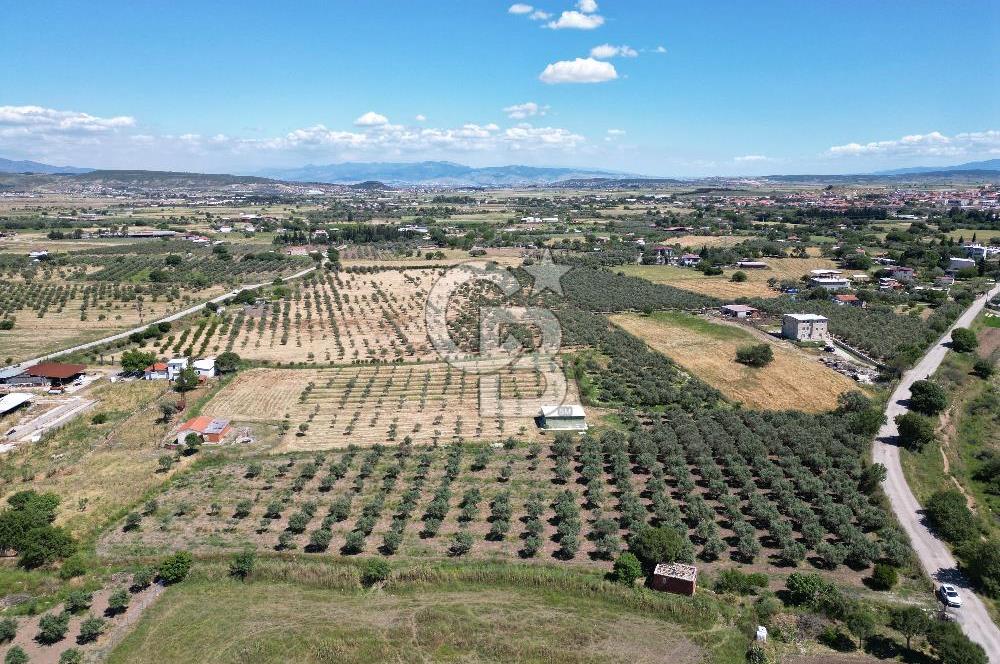 YENİBAĞARASI’NDA ASFALT YOLA CEPHELİ İMARA 500 M. SATILIK TARLA