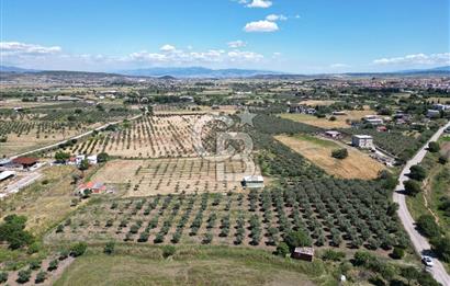 YENİBAĞARASI’NDA ASFALT YOLA CEPHELİ İMARA 500 M. SATILIK TARLA