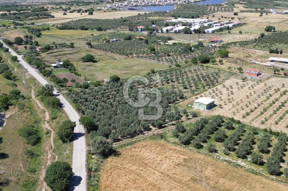 YENİBAĞARASI’NDA ASFALT YOLA CEPHELİ İMARA 500 M. SATILIK TARLA