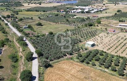 YENİBAĞARASI’NDA ASFALT YOLA CEPHELİ İMARA 500 M. SATILIK TARLA