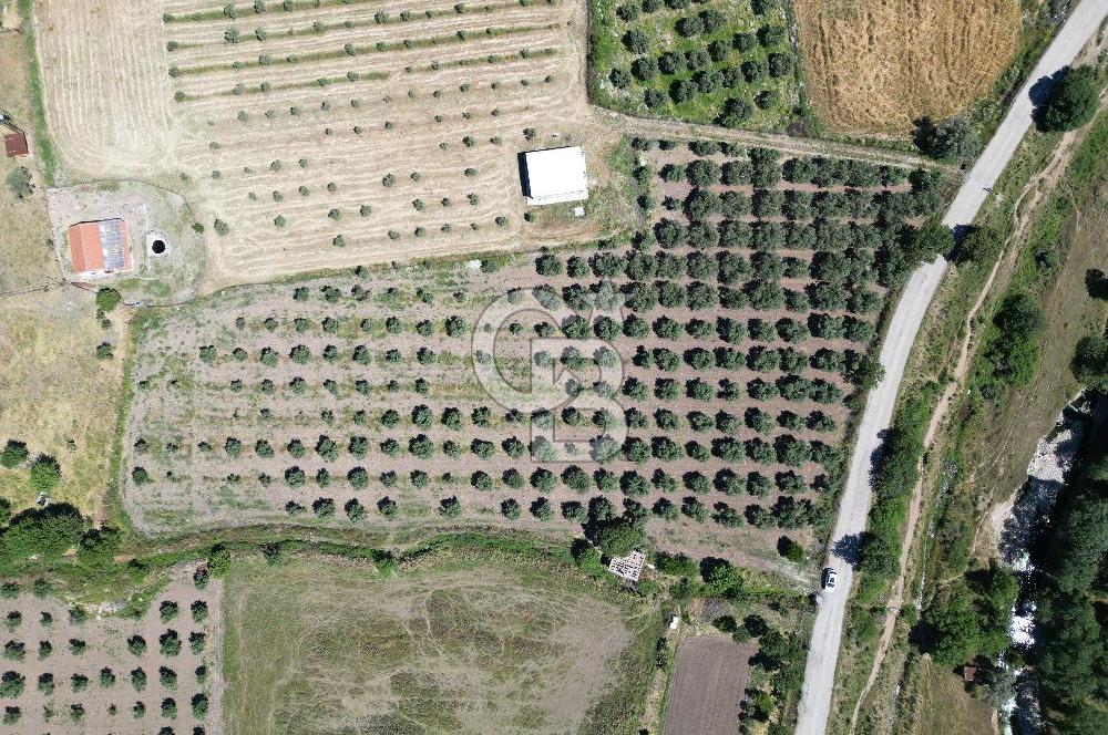 YENİBAĞARASI’NDA ASFALT YOLA CEPHELİ İMARA 500 M. SATILIK TARLA