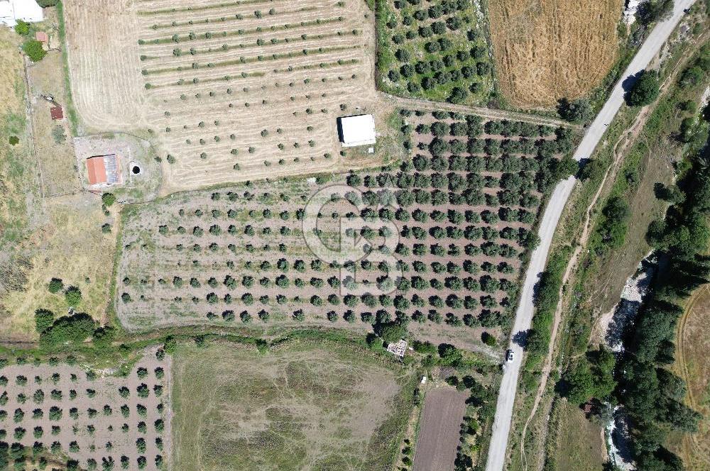 YENİBAĞARASI’NDA ASFALT YOLA CEPHELİ İMARA 500 M. SATILIK TARLA