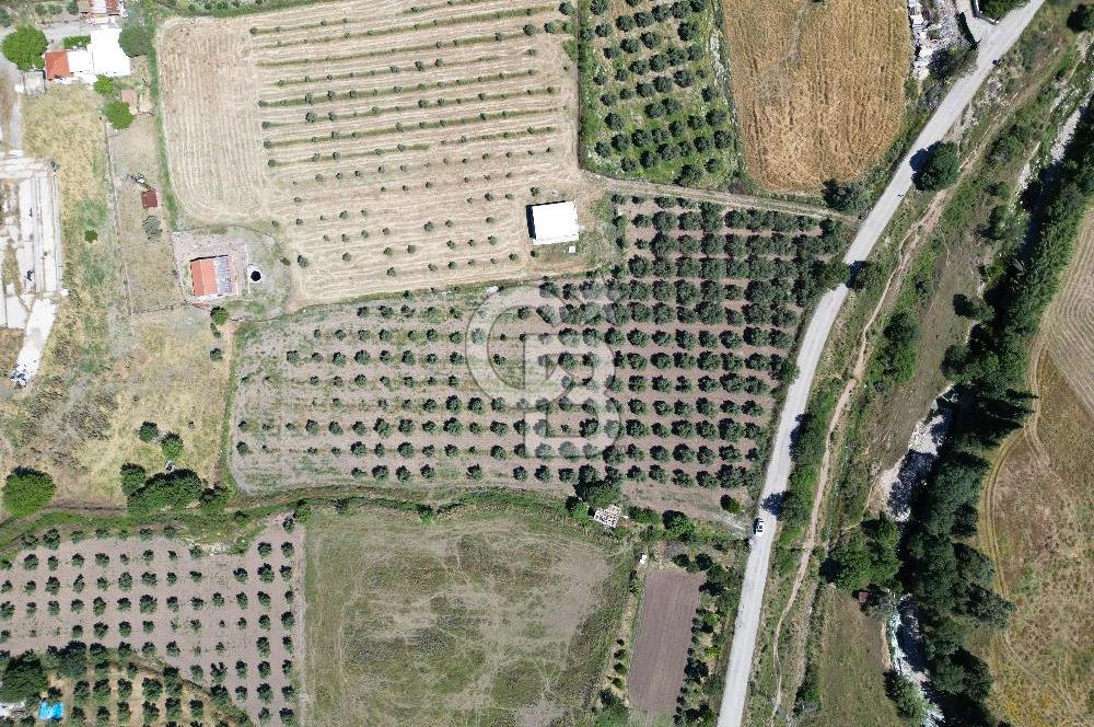 YENİBAĞARASI’NDA ASFALT YOLA CEPHELİ İMARA 500 M. SATILIK TARLA