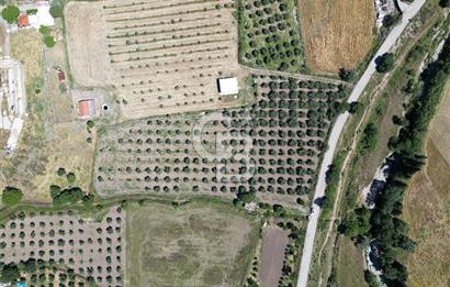 YENİBAĞARASI’NDA ASFALT YOLA CEPHELİ İMARA 500 M. SATILIK TARLA