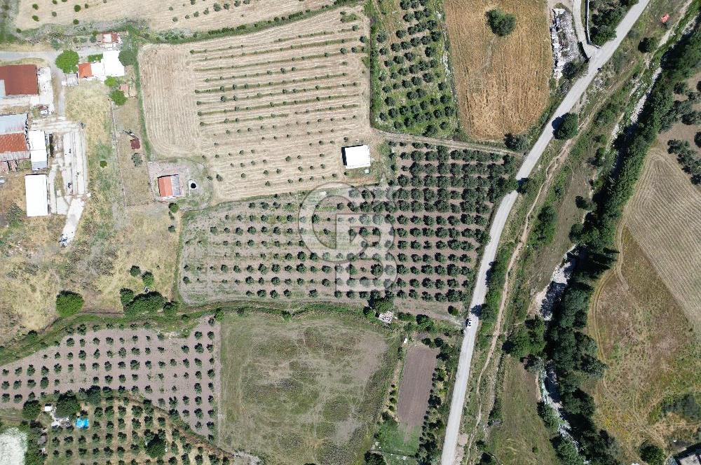 YENİBAĞARASI’NDA ASFALT YOLA CEPHELİ İMARA 500 M. SATILIK TARLA