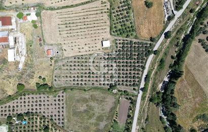 YENİBAĞARASI’NDA ASFALT YOLA CEPHELİ İMARA 500 M. SATILIK TARLA