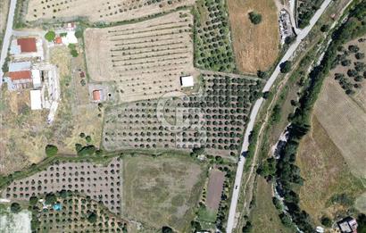 YENİBAĞARASI’NDA ASFALT YOLA CEPHELİ İMARA 500 M. SATILIK TARLA