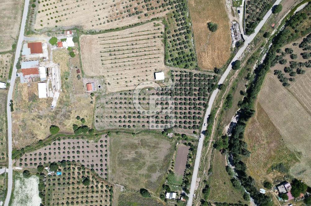 YENİBAĞARASI’NDA ASFALT YOLA CEPHELİ İMARA 500 M. SATILIK TARLA