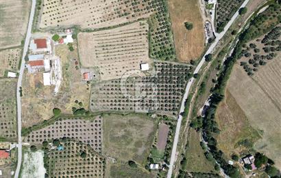 YENİBAĞARASI’NDA ASFALT YOLA CEPHELİ İMARA 500 M. SATILIK TARLA