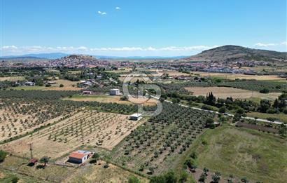 YENİBAĞARASI’NDA ASFALT YOLA CEPHELİ İMARA 500 M. SATILIK TARLA