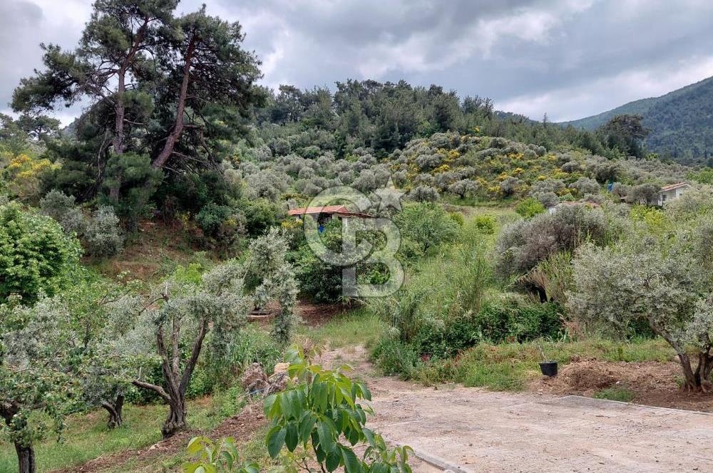 Kemalpaşa yukarıkızılca'da ev'li bağ bahçe