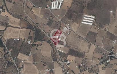 YENİBAĞARASI’NDA ASFALT YOLA CEPHELİ İMARA 500 M. SATILIK TARLA