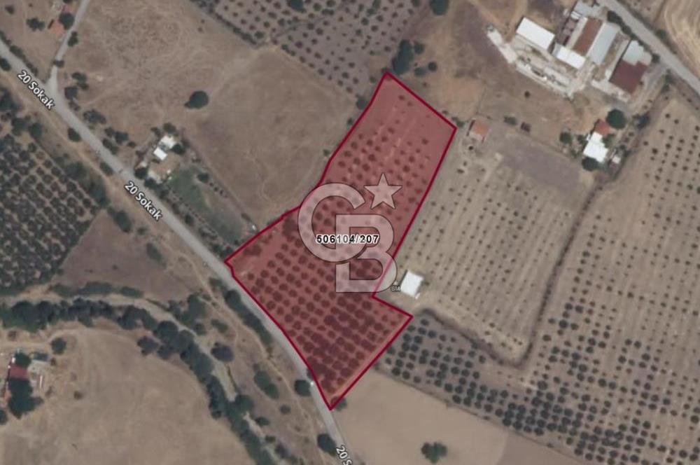 YENİBAĞARASI’NDA ASFALT YOLA CEPHELİ İMARA 500 M. SATILIK TARLA