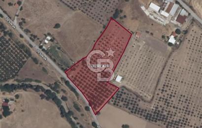 YENİBAĞARASI’NDA ASFALT YOLA CEPHELİ İMARA 500 M. SATILIK TARLA