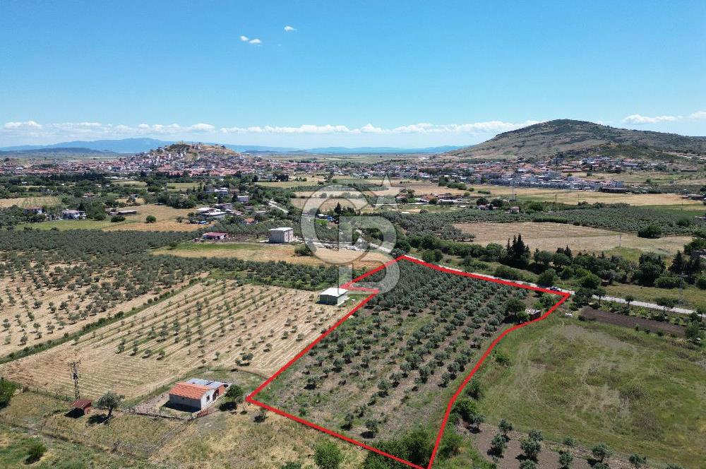YENİBAĞARASI’NDA ASFALT YOLA CEPHELİ İMARA 500 M. SATILIK TARLA
