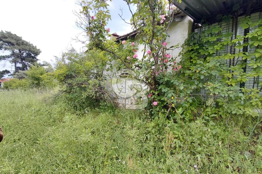 Kemalpaşa yukarıkızılca'da ev'li bağ bahçe