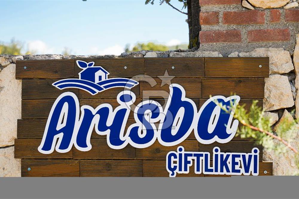 ÇANAKKALE MUSAKÖYDE BOĞAZA NAZIR KİRALIK RESTORAN & KAMP TESİSİ