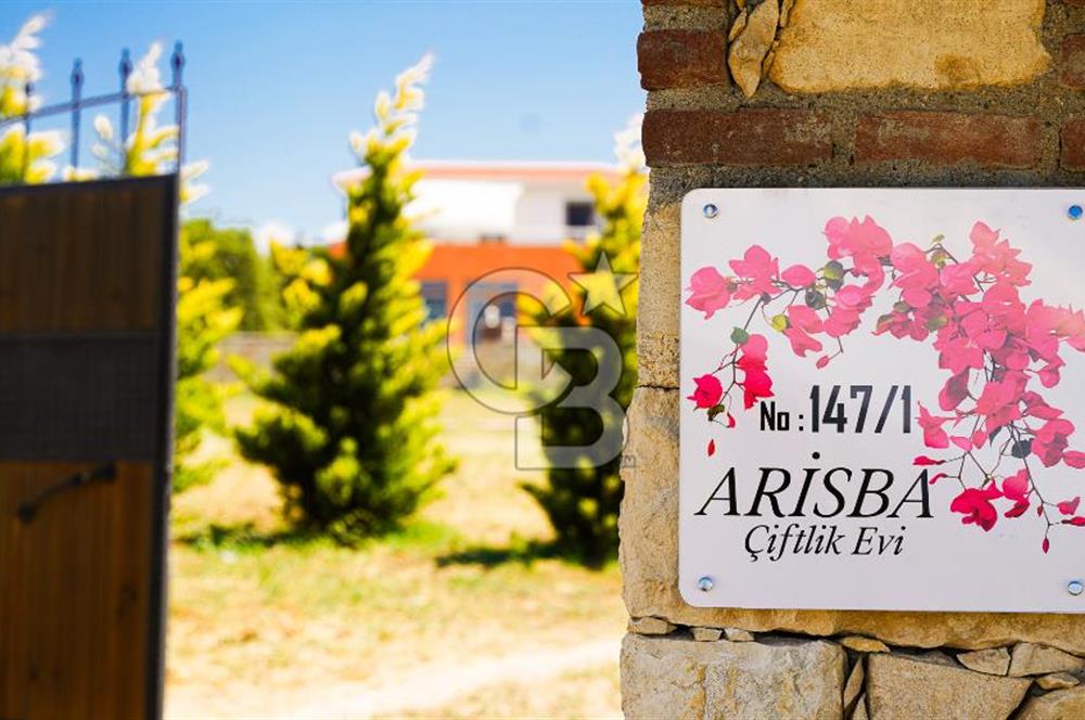 ÇANAKKALE MUSAKÖYDE BOĞAZA NAZIR KİRALIK RESTORAN & KAMP TESİSİ