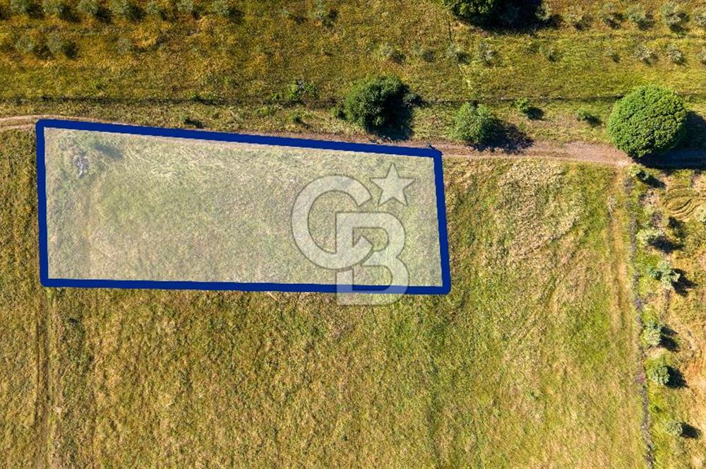 Foça Fevzi Çakmak Mah. Müstakil 1460 m2 Satılık Tarla