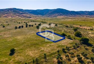 Foça Fevzi Çakmak Mah. Müstakil 1460 m2 Satılık Tarla - 9 - 350665
