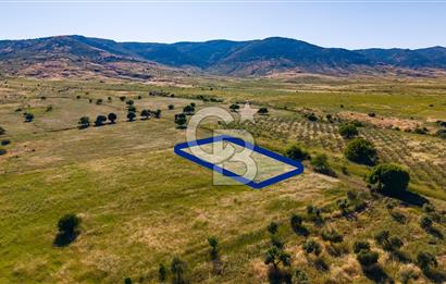 Foça Fevzi Çakmak Mah. Müstakil 1460 m2 Satılık Tarla