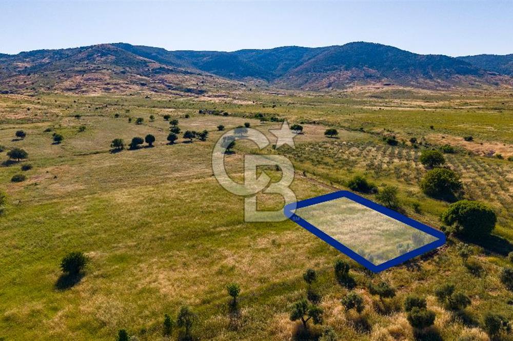 Foça Fevzi Çakmak Mah. Müstakil 1460 m2 Satılık Tarla