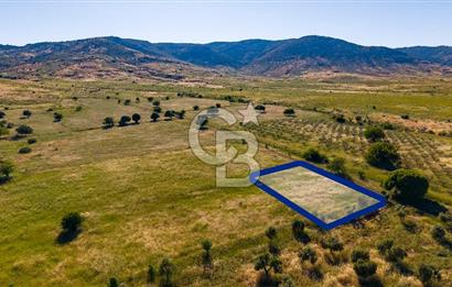 Foça Fevzi Çakmak Mah. Müstakil 1460 m2 Satılık Tarla
