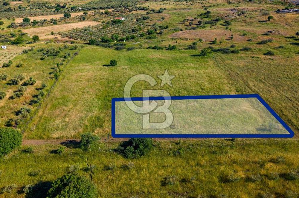 Foça Fevzi Çakmak Mah. Müstakil 1460 m2 Satılık Tarla