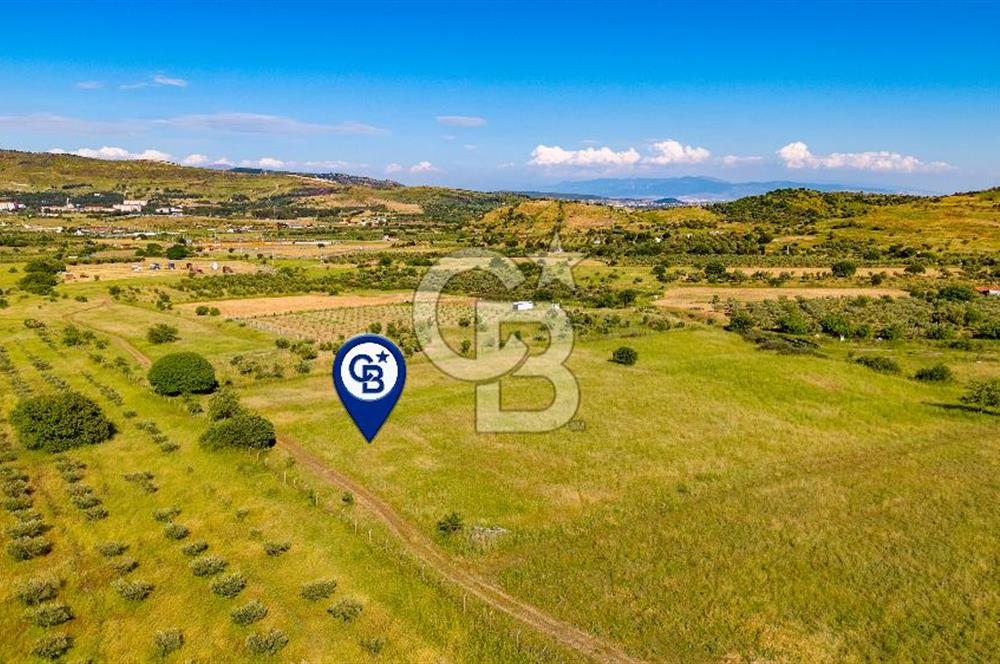 Foça Fevzi Çakmak Mah. Müstakil 1460 m2 Satılık Tarla