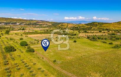 Foça Fevzi Çakmak Mah. Müstakil 1460 m2 Satılık Tarla