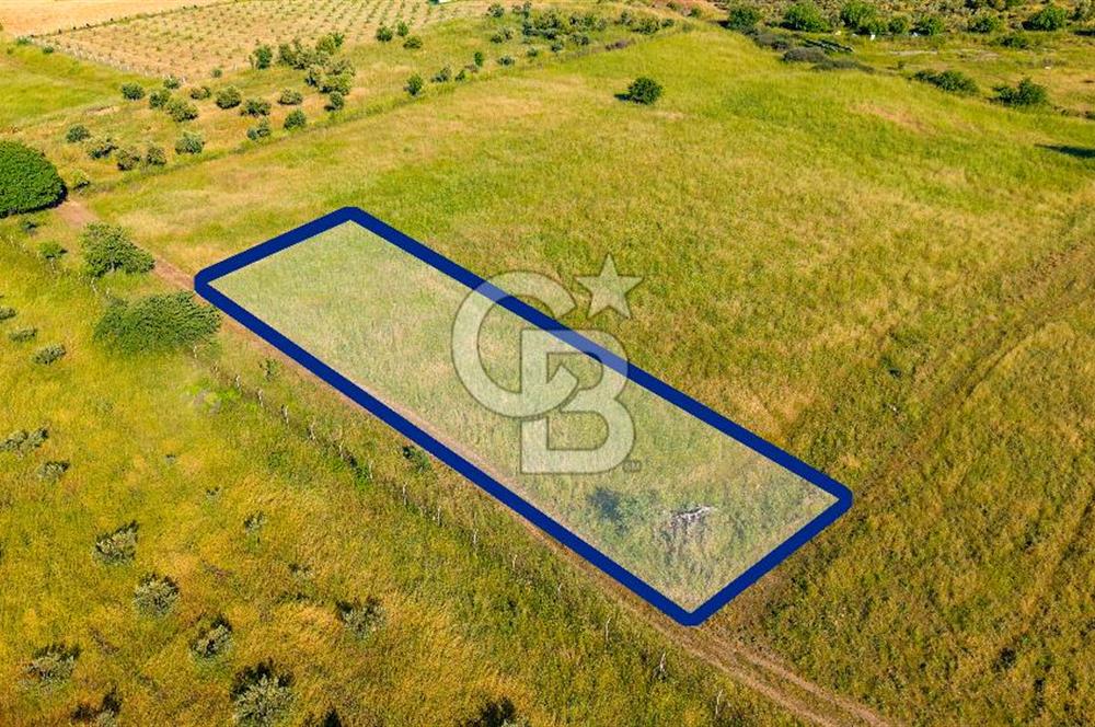 Foça Fevzi Çakmak Mah. Müstakil 1460 m2 Satılık Tarla