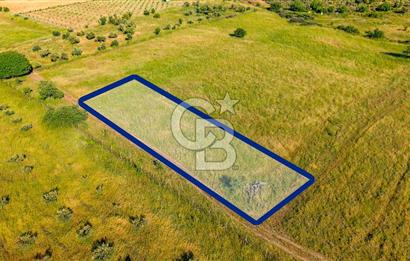 Foça Fevzi Çakmak Mah. Müstakil 1460 m2 Satılık Tarla