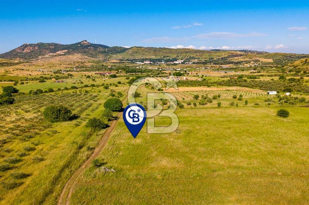 Foça Fevzi Çakmak Mah. Müstakil 1460 m2 Satılık Tarla