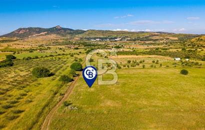 Foça Fevzi Çakmak Mah. Müstakil 1460 m2 Satılık Tarla