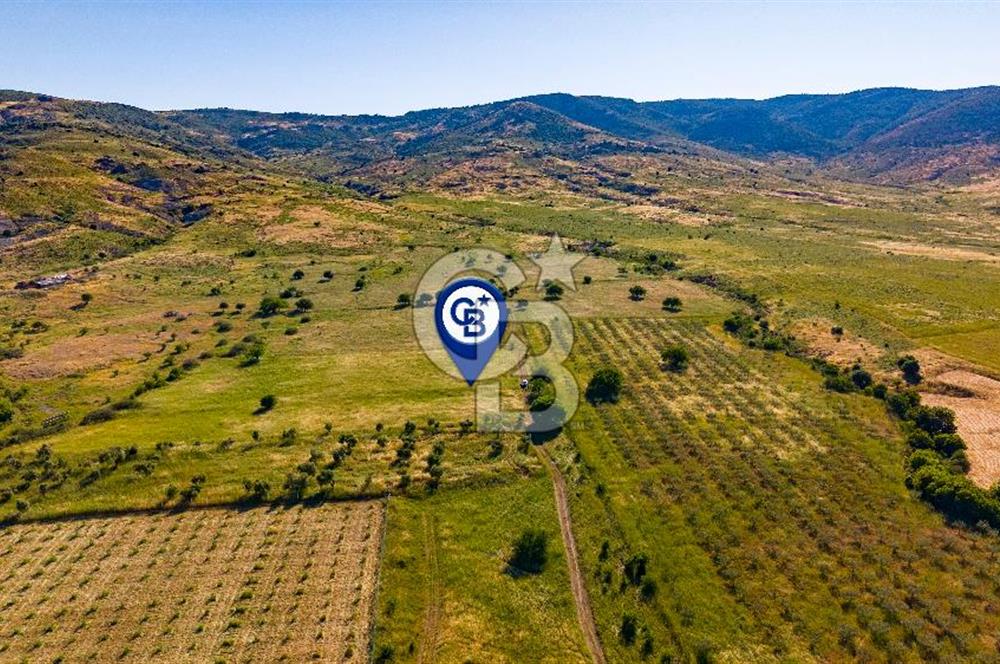 Foça Fevzi Çakmak Mah. Müstakil 1460 m2 Satılık Tarla