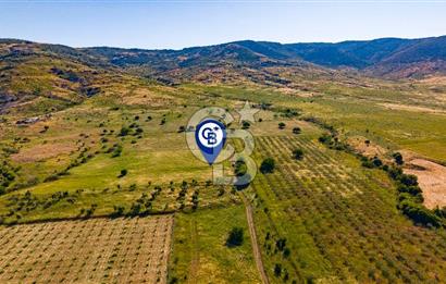 Foça Fevzi Çakmak Mah. Müstakil 1460 m2 Satılık Tarla