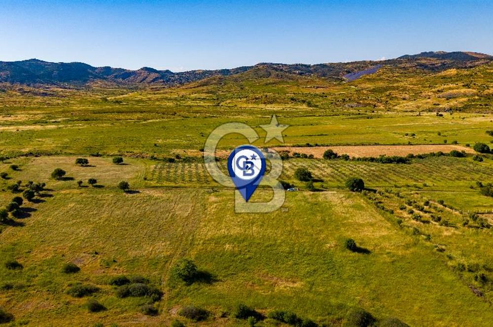 Foça Fevzi Çakmak Mah. Müstakil 1460 m2 Satılık Tarla