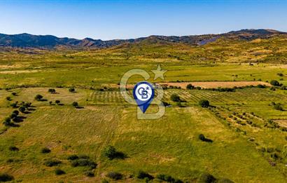 Foça Fevzi Çakmak Mah. Müstakil 1460 m2 Satılık Tarla