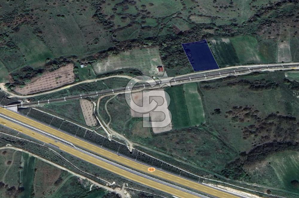CB KİNG'DEN SAVAŞTEPE/SOĞUCAK MAHALLESİ 4252 m² SATILIK TARLA
