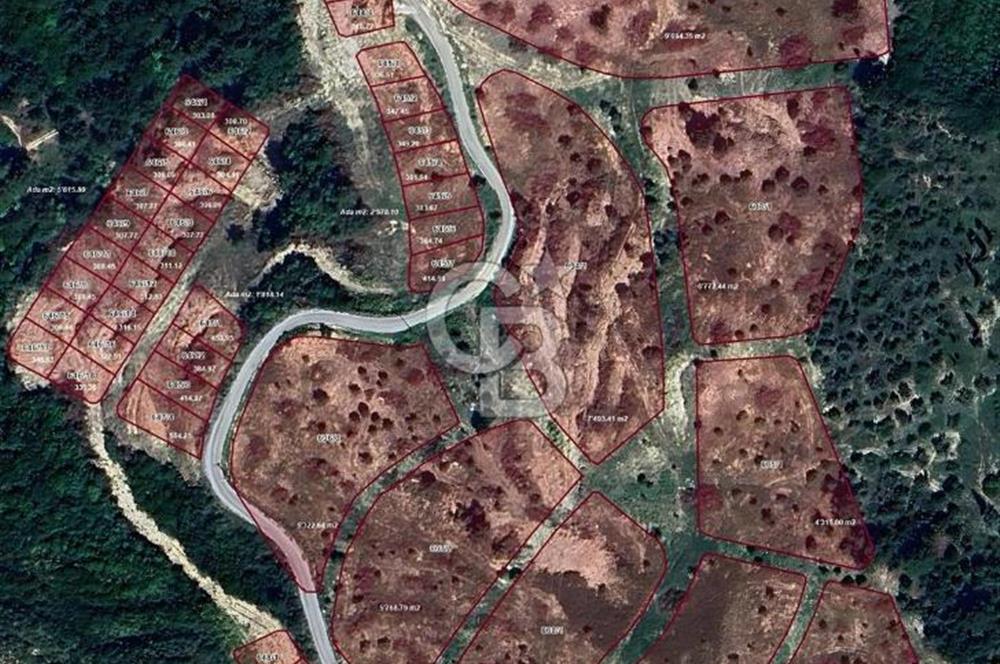 Satılık Kuşadası Soğucak'ta 15/30 Konut Emsalli Arsa